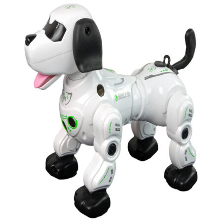 Robot dog control remoto